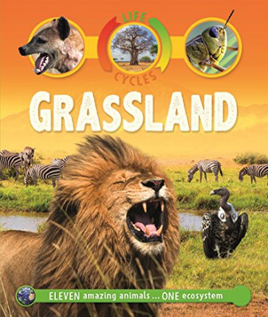 Life Cycles: Grassland (Life Cycles, 41) - Sean Callery [KSIĄŻKA]
