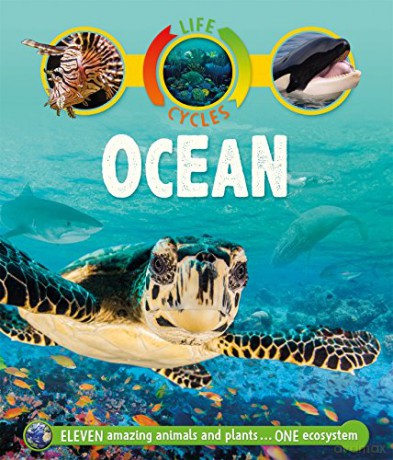 Life Cycles: Ocean (Life Cycles, 43) - Sean Callery [KSIĄŻKA]