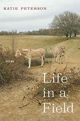 Life in a Field - Poems - Young Suh [KSIĄŻKA]