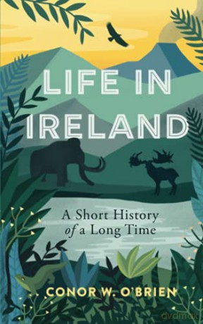 Life in Ireland: A Short History of a Long time - Conor W. O'Brien [KSIĄŻKA]