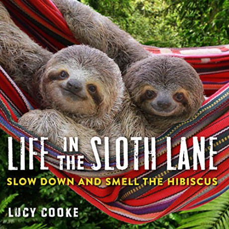 Life in the Sloth Lane: Slow Down and Smell the Hibiscus: 1 - Lucy Cooke [KSIĄŻKA]