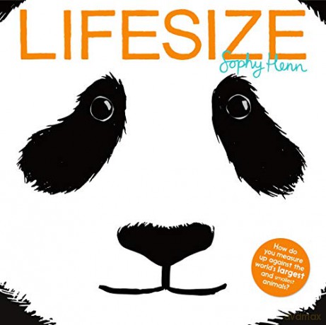 Lifesize - Sophy Henn [KSIĄŻKA]