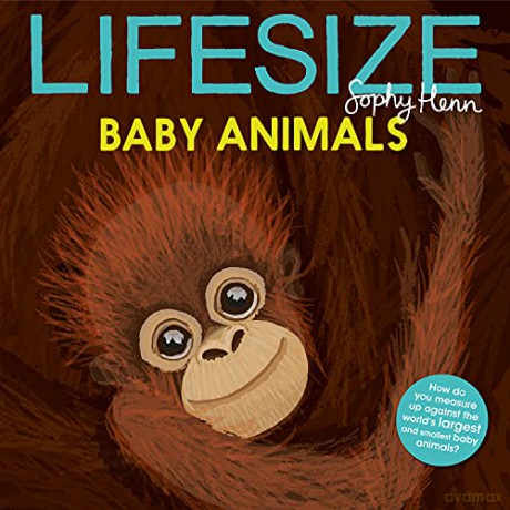 Lifesize Baby Animals: See baby animals at their actual size in this new illustrated non-fiction adventure for children aged 3+ - Sophy Henn [KSIĄŻKA]