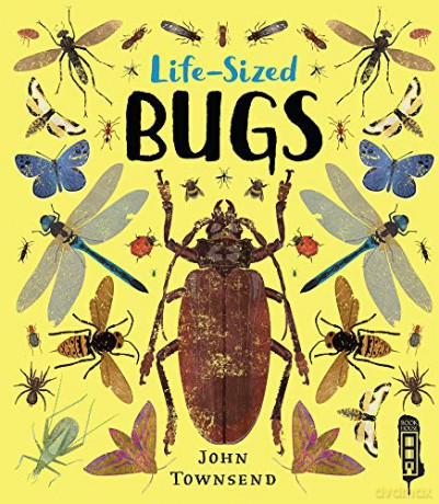 Life-Sized Bugs - John Townsend [KSIĄŻKA]