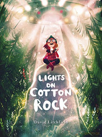 Lights on Cotton Rock: 1 - David Litchfield [KSIĄŻKA]
