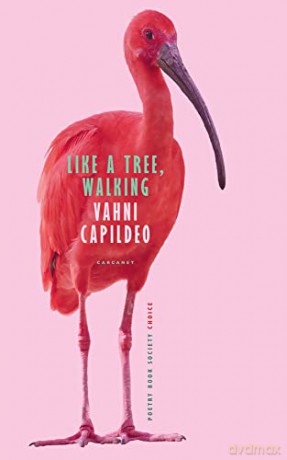 Like a Tree, Walking - Vahni Capildeo [KSIĄŻKA]