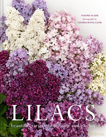 Lilacs: Beautiful varieties for home and garden - Naomi Slade [KSIĄŻKA]