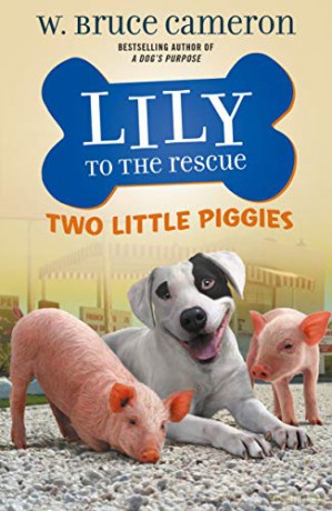 Lily to the Rescue: Two Little Piggies: 2 - W. Bruce Cameron [KSIĄŻKA]