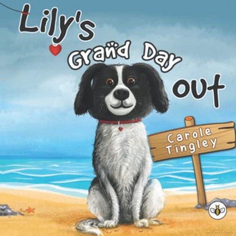 Lily's Grand Day Out - Carole Tingley [KSIĄŻKA]