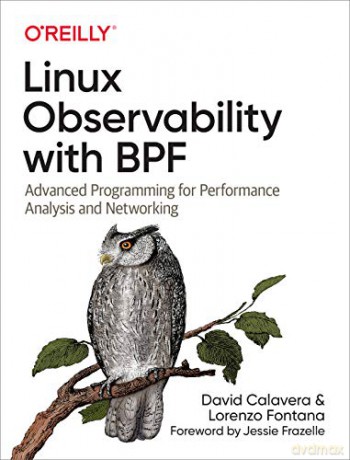 Linux Observability with BPF: Advanced Programming for Performance Analysis and Networking - David Calavera [KSIĄŻKA]