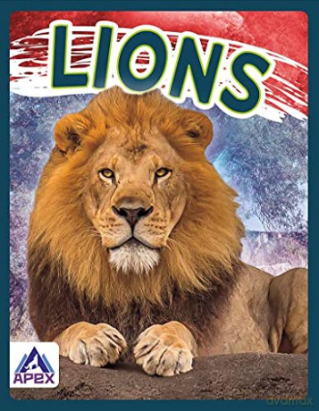 Lions (Wild Cats) - Sophie Geister-Jones [KSIĄŻKA]