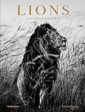Lions: Laurent Baheux - Laurent Baheux [KSIĄŻKA]