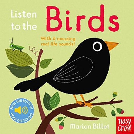 Listen to the Birds - Nosy Crow Ltd [KSIĄŻKA]