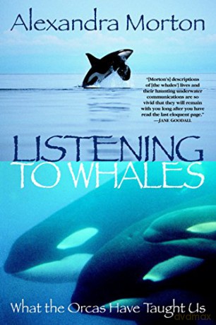 Listening to Whales: What the Orcas Have Taught Us - Alexandra Morton [KSIĄŻKA]