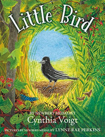 Little Bird - Cynthia Voigt [KSIĄŻKA]