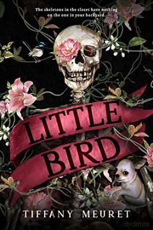 Little Bird - Tiffany Meuret [KSIĄŻKA]