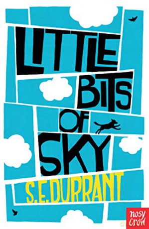 Little Bits of Sky - S. E. Durrant [KSIĄŻKA]