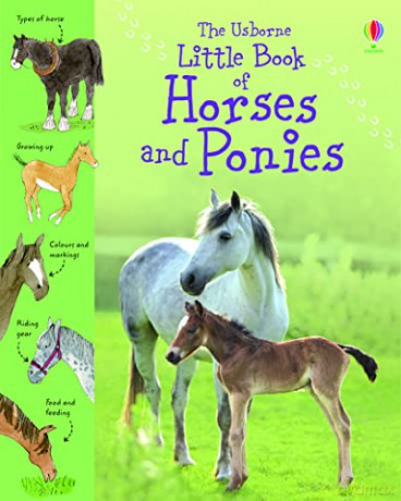LITTLE BOOK HORSES PONIES (Little Books) - Sarah Khan [KSIĄŻKA]