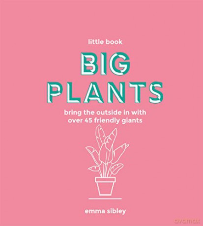 Little Book, Big Plants: Bring the outside in with over 45 friendly giants - Emma Sibley [KSIĄŻKA]
