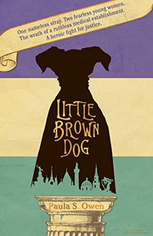 Little Brown Dog - Paula S. Owen [KSIĄŻKA]