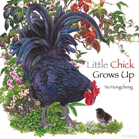 Little Chick Grows Up - Yu Hongcheng [KSIĄŻKA]