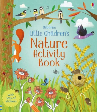 Little Children's Nature Activity Book: 1 (Little Children's Activity Books) - Rebecca Gilpin [KSIĄŻKA]