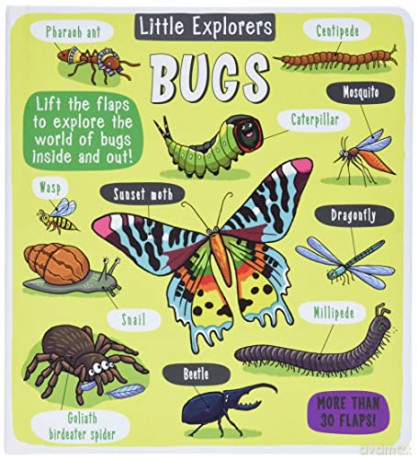 Little Explorers: Bugs - Little Bee Books [KSIĄŻKA]