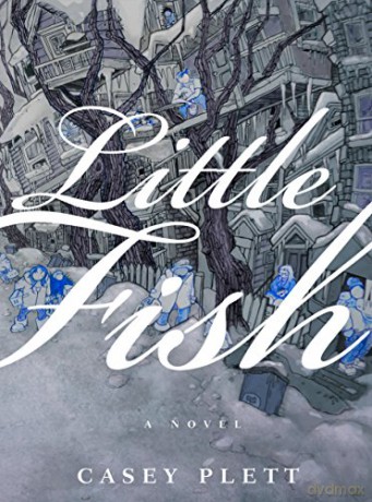 Little Fish - Casey Plett [KSIĄŻKA]
