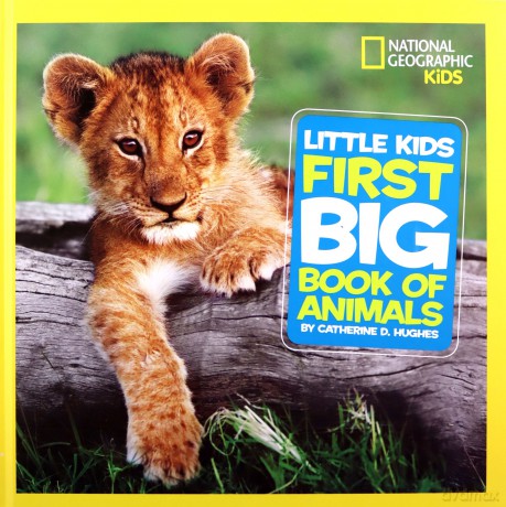 Little Kids First Big Book of Animals (National Geographic Kids) - Catherine D. Hughes [KSIĄŻKA]
