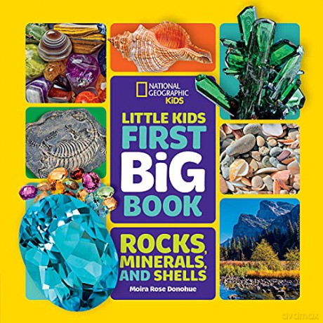 Little Kids First Big Book of Rocks, Minerals and Shells (National Geographic Kids) - Moira Rose Donohue [KSIĄŻKA]