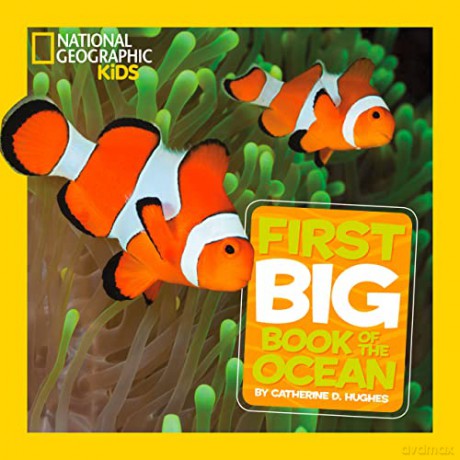 Little Kids First Big Book Of The Ocean (National Geographic Kids) - Catherine D Hughes [KSIĄŻKA]