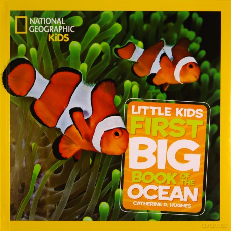 Little Kids First Big Book Of The Ocean (National Geographic Kids) - Catherine D Hughes [KSIĄŻKA]