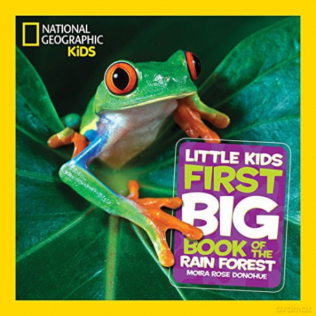 Little Kids First Big Book of The Rainforest (National Geographic Kids) - National Geographic Kids [KSIĄŻKA]