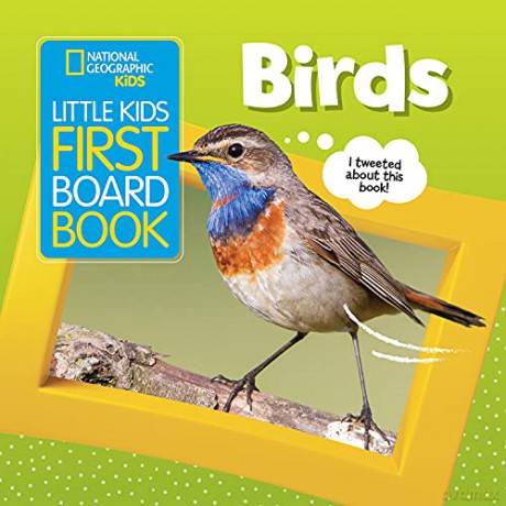 Little Kids First Board Book: Birds (First Board Books) - National Geographic Kids [KSIĄŻKA]