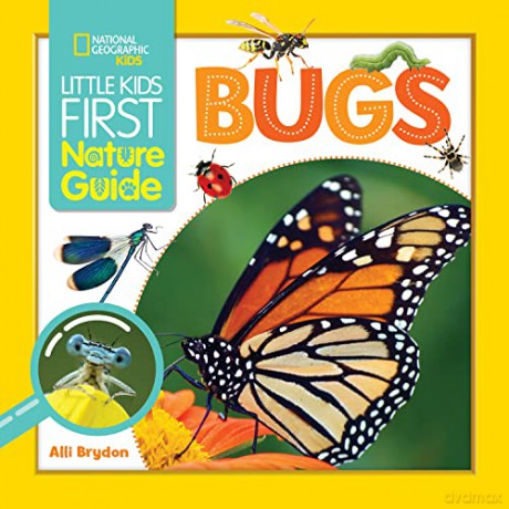 Little Kids First Nature Guide Bugs - National Geographic Kids [KSIĄŻKA]