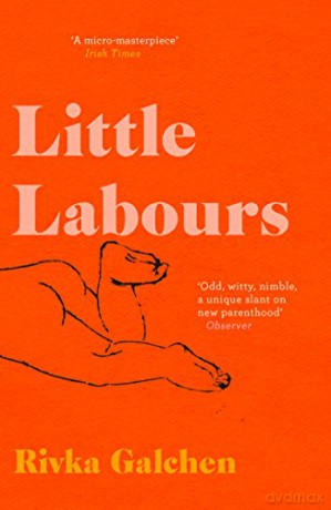 Little Labours - Rivka Galchen [KSIĄŻKA]