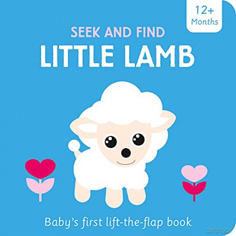 Little Lamb (Seek and Find Lift-the-flap) - Amber Lily [KSIĄŻKA]