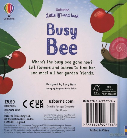 Little Lift and Look Busy Bee - Anna Milbourne [KSIĄŻKA]