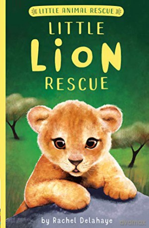 Little Lion Rescue (Little Animal Rescue) - Rachel Delahaye [KSIĄŻKA]