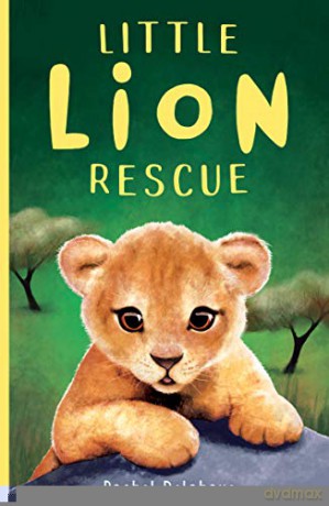 Little Lion Rescue: 1 (Little Animal Rescue (1)) - Rachel Delahaye [KSIĄŻKA]
