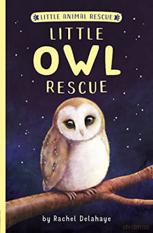 Little Owl Rescue (Little Animal Rescue) - Rachel Delahaye [KSIĄŻKA]
