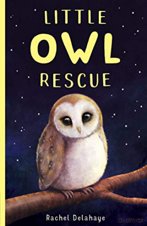 Little Owl Rescue: 5 (Little Animal Rescue (5)) - Rachel Delahaye [KSIĄŻKA]