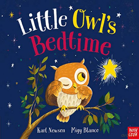 Little Owl's Bedtime - Karl Newson [KSIĄŻKA]