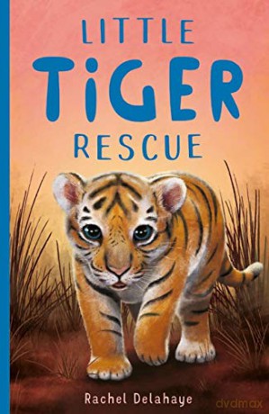 Little Tiger Rescue: 4 (Little Animal Rescue (4)) - Rachel Delahaye [KSIĄŻKA]
