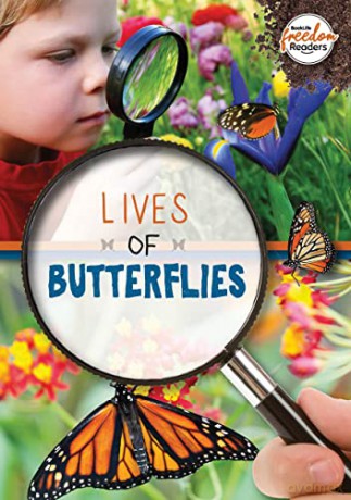 Lives of Butterflies (BookLife Freedom Readers) - Holly Duhig [KSIĄŻKA]