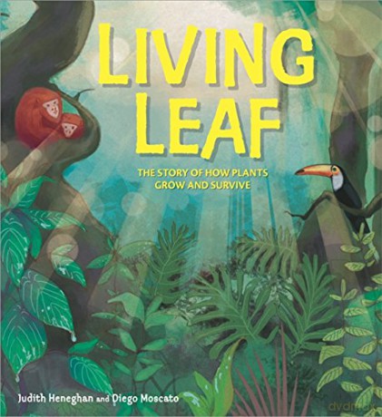 Living Leaf: The Story of How Plants Grow and Survive - Judith Heneghan [KSIĄŻKA]