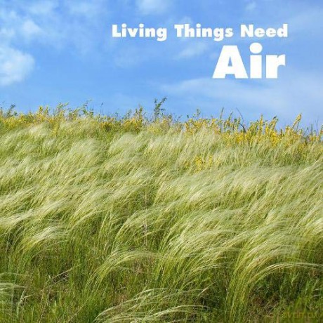 Living Things Need Air (What Living Things Need) - Karen Aleo [KSIĄŻKA]