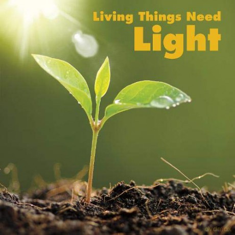 Living Things Need Light (What Living Things Need) - Karen Aleo [KSIĄŻKA]