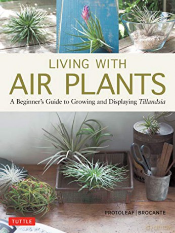 Living with Air Plants: A Beginner's Guide to Growing and Displaying Tillandsia - Yukihiro Matsuda [KSIĄŻKA]