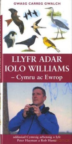 Llyfr Adar Iolo Williams - Peter Hayman [KSIĄŻKA]